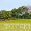 (주)횡성테마랜드 이미지