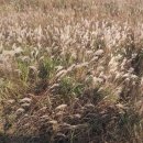 민둥산펜션 이미지