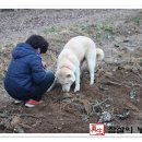 유순농장 이미지