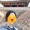 네파남한 이미지