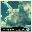 나누미할인마트 이미지