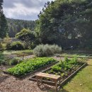 송당일상 이미지