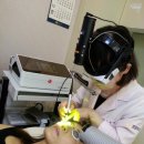 플러스미피부과의원 이미지