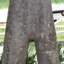바른생활 이미지