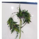 [국비_내일배움카드] 10/16 패션소품(홈패션) 자격증 과정 | 플라워창업 입문과정/화훼장식기능사 실기 주말반 국비훈련생 모집