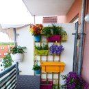 꽃향기정원 이미지