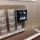 맹그로브 동대문 | 서울 워케이션, 디지털 노마드 워케이션 숙소 맹그로브 동대문 후기