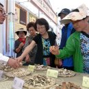 경북 영천 "영천한약.과일축제"기행 이미지