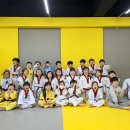 영등포 참피온 태권도 이미지