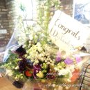 디또와 친구들 이미지