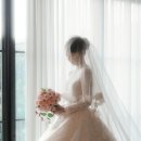 씨엘드포레