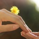 내님이 나라 이미지