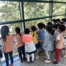 장암자원 이미지