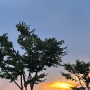 황산애견 네이버블로그