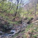 정관농장 이미지