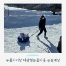 눈꽃마을 | 두돌아기랑 대관령눈꽃마을 눈썰매장 오후권 후기, 아기 놀거리 준비물