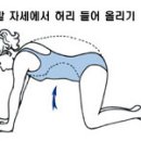 관절 근육 강화 운동 이미지