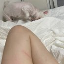 깍고밀고이발 이미지