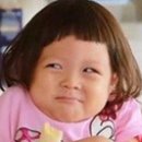 참치바라기 이미지