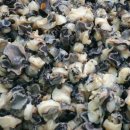 복자농장 이미지