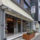 해리스플라워마켓연남점 | 연남동 꽃집 추천 해리스플라워마켓 연남점 한송이 생화 가격 및 물처리 보관법 총정리