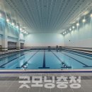 서천군생활체육관 이미지