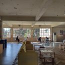 안덕중학교 | [제주 서귀포 카페] 더리트리브 ㅣ 주차, 산방산 카페, 제주도 애견동반 카페