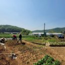 인천뽑기 이미지