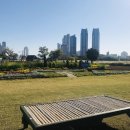 울산공항관광안내소 이미지