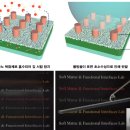 서림에너지 이미지