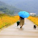 장흥 부산면, 27일 ‘오색찬란 탐진강변에서 노(라)랑’ 개최 이미지