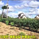 서산황금알공인중개사사무소 이미지