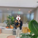 핫DOG | 소노펫 고양_띵킹독(애견동반카페)