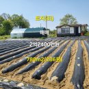 김찬범농장 이미지