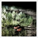 이상백농장 이미지