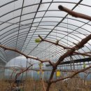 미루농장 이미지