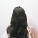 보금헤어 - 전주시 완산구 | 보금헤어