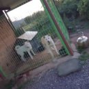 나들목가든 이미지