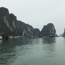 Halong (하롱) 이미지