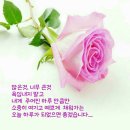 여행매니아21 이미지