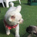 동부산팜 이미지