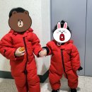 마마오리 이미지
