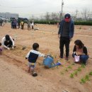 강서구-26 이미지