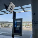 노일초등학교 앞 버스정류장 이미지