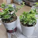 양감중학교 이미지