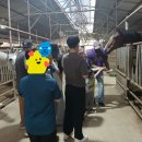 충무승마장 이미지