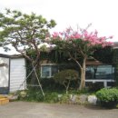 묵은지와 참두부 이미지