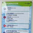 진도의 바닷길 | 진도 무료 여행지 추천 신비의바닷길체험관