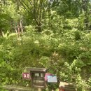 면천농협주유소 이미지