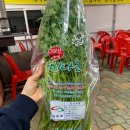 소산미나리농원 이미지